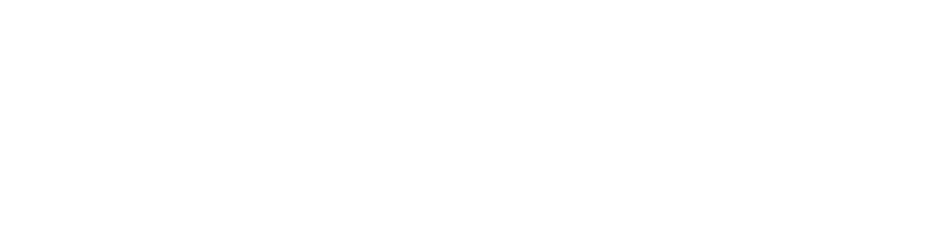 コンフィデンシャル 国際共助捜査