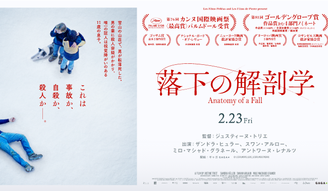 落下の解剖学