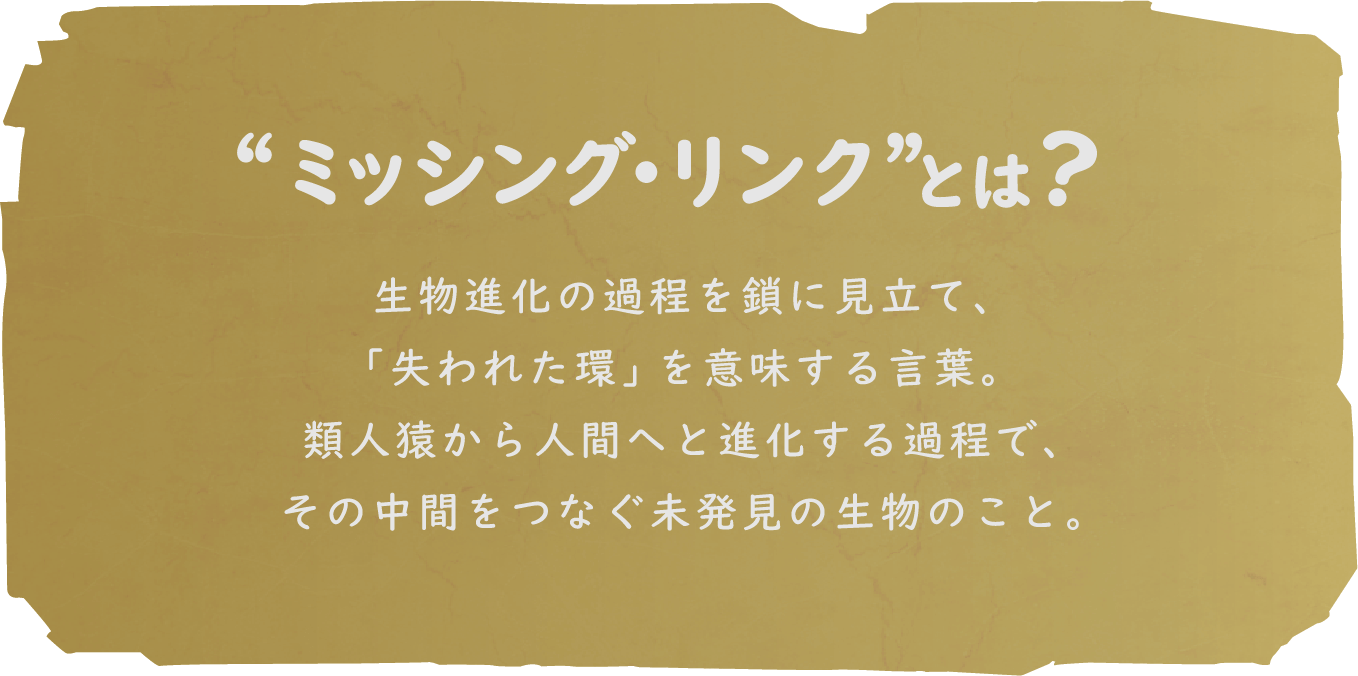 “ミッシング・リンク”とは？｜生物進化の過程を鎖に見立て、「失われた環」を意味する言葉。類人猿から人間へと進化する過程で、その中間をつなぐ未発見の生物のこと。